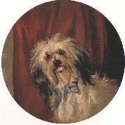 Percy Gray The Artist's Dog (mk42) oil painting